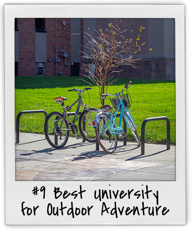 Bike Stand